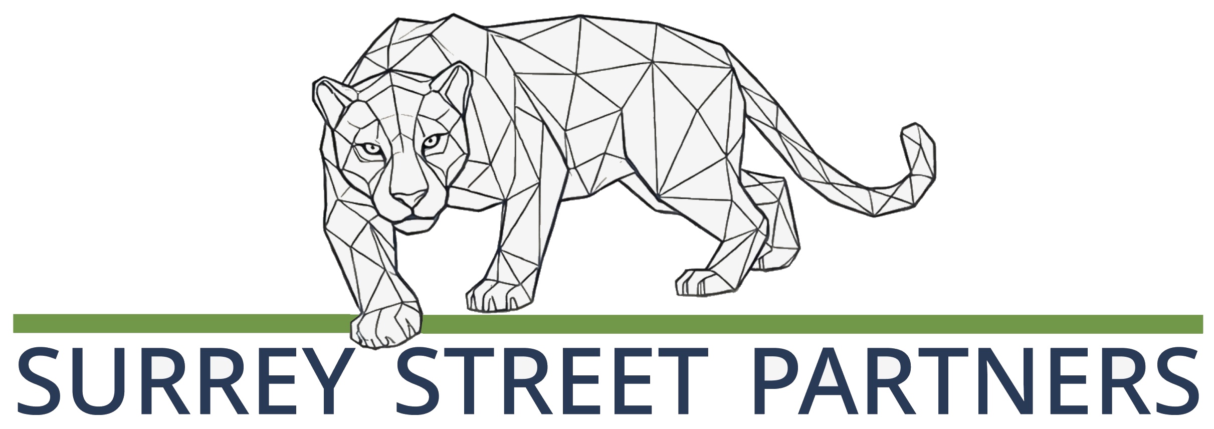 Surrey Street Partners